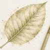 Hell-olivfarbenes Kratom-Blattpulver als Farbbeispiel mit Blattmotiv und Pinsel