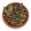 Salvia divinorum Anschauungsmaterial – getrocknete Blätter in einer Holzschale